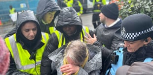“Heads are going to roll”, say protesters as trees are cut down