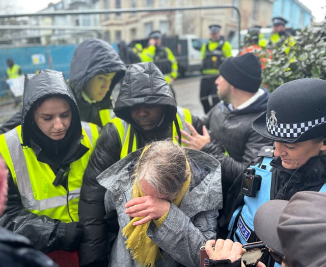“Heads are going to roll”, say protesters as trees are cut down