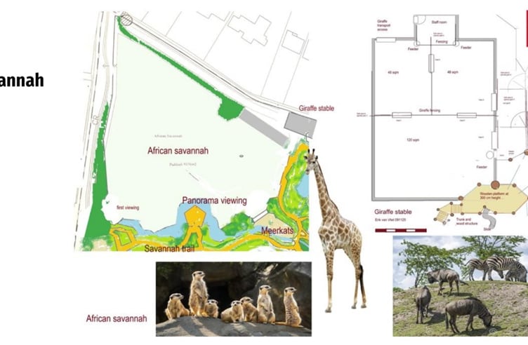Plans for the giraffe savannah