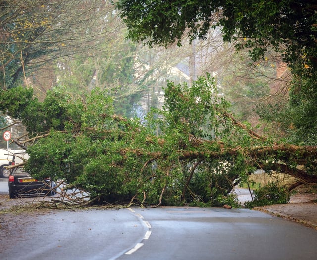 Cornwall takes a battering as Storm Bram makes its presence known