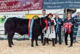 Truro Primestock Show: Top trophies and sales success