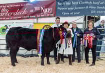 Truro Primestock Show: Top trophies and sales success