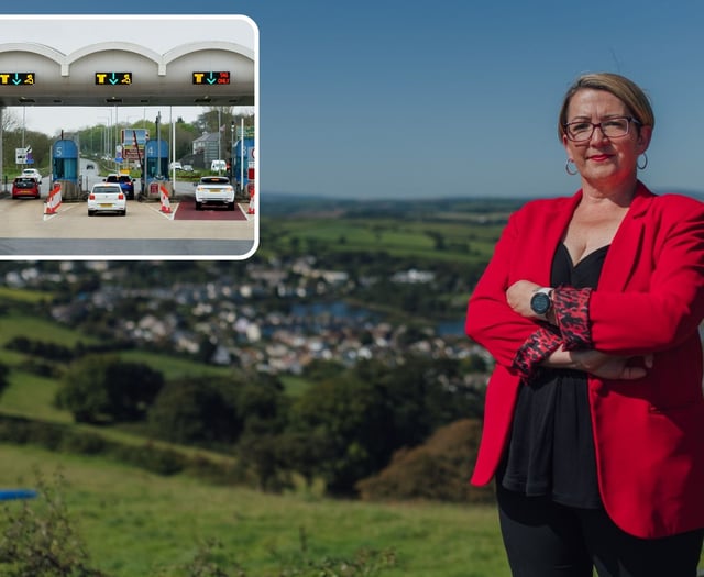 Calls grow to review Tamar Tag price hike