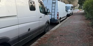 Vans ‘camping’ at popular park is ‘disgraceful’ and ‘unacceptable'