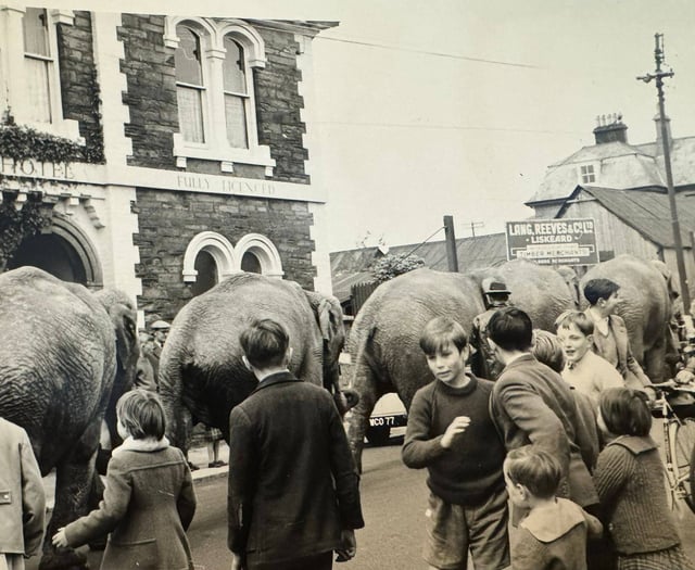 Times Past: The circus is coming to Liskeard