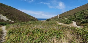 Henwyn tyller/Place names: Jericho Valley, St Agnes