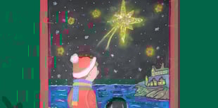 Young artist from Braddock wins MP’s Christmas card competition