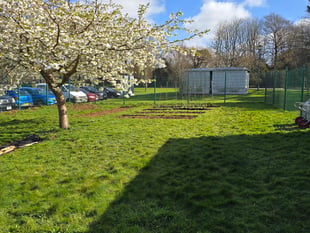 Cornish school launches £10k appeal to build pioneering food garden 