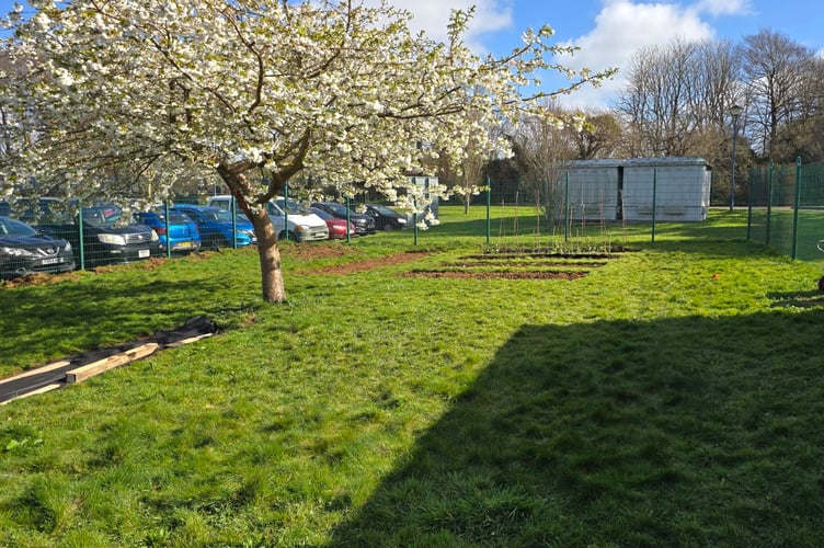 Growing a Food Garden for Our School and Community 3.