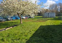 Cornish school launches £10k appeal to build pioneering food garden