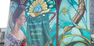 Mural paying tribute to WI created