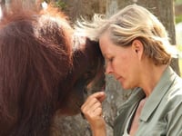 Rainforest destruction inspires children's book 