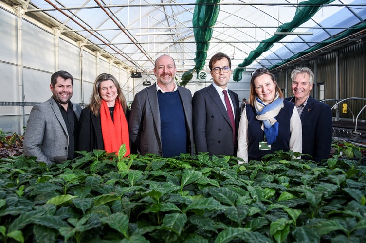 (L-R) Cllr Leigh Frost, Jayne Kirkham MP, Perran Moon MP, Noah Law MP, Gus Grand, Piers Guy in a geothermal heated greenhouse at Eden’s Growing Point plant nursery