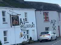 Police urge public help after festive graffiti rampage