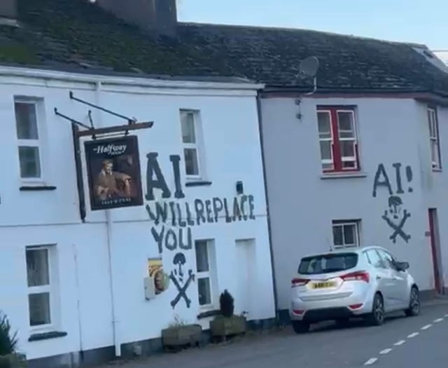 Police urge public help after festive graffiti rampage