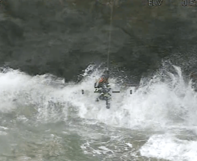 Footage of dramatic rescue of elderly walker released