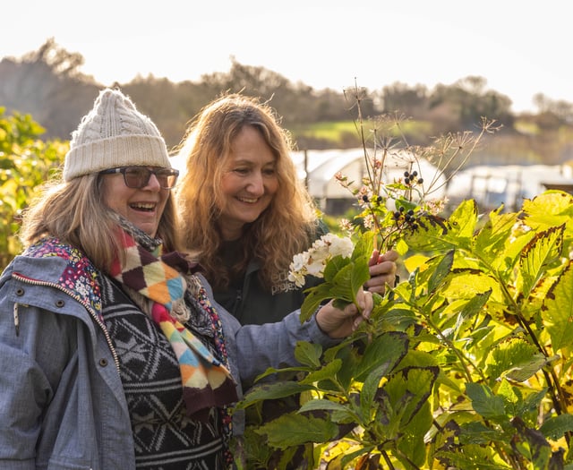Eden Project unveils plan to boost mental health through nature