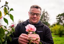 Cornish estate reports record winter bloom count amid warming climate