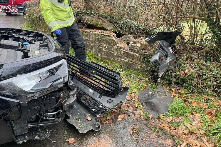 A picture from the scene of the incident in Ashwater (Picture: Holsworthy Fire Station)