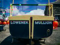 Henwyn tyller/Place names: Mullion