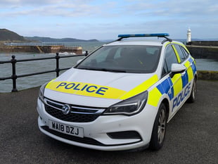 Policing figures offer insight into what officers have dealt with