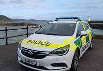 Policing figures offer insight into what St Austell officers have dealt with in 2025