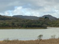 Roadshows will look to the future