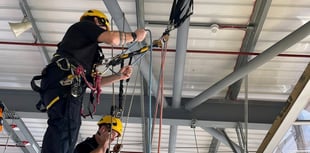 Trapped horse saved from pond in freezing conditions