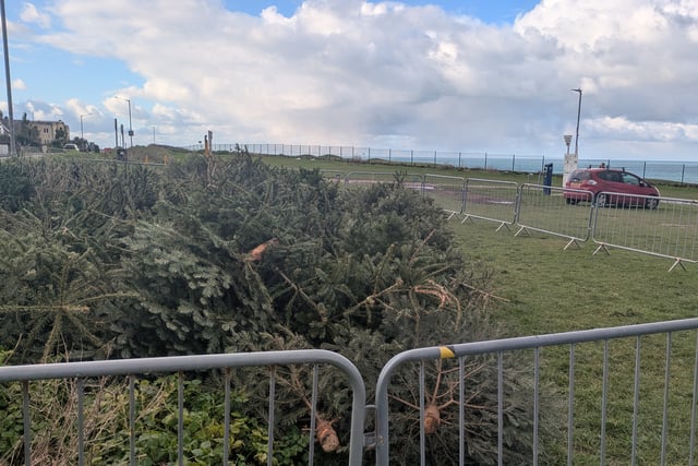 Christmas tree recycling initiative launched