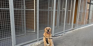 Dog rescue centre redevelopment to be officially unveiled