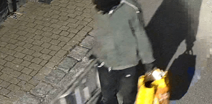 Police appeal to identify masked person after festive vandalism