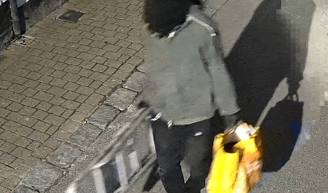 Police appeal to identify masked person after festive vandalism