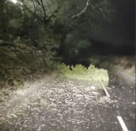 Convoy of motorists chip in to move trees blown over
