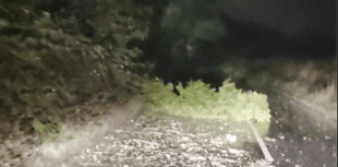 Convoy of motorists chip in to move trees blown over