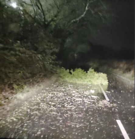 Convoy of motorists chip in to move trees blown over