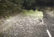 Convoy of motorists chip in to move fallen trees during Storm Goretti