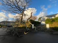 Storm Goretti cuts power in Truro