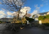 High winds leave Truro homes powerless