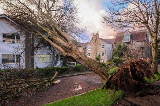 Council thank residents and responders in storm aftermath