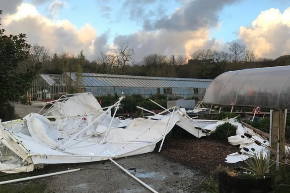 Storm Goretti wreaked havoc at Lanjeth Nursery and Water Gardens near St Austell.