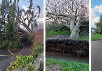 Residents asked to avoid travel as crews work to repair damage after Storm Goretti