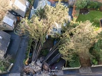 Storm Goretti uproots century-old trees onto Truro family home