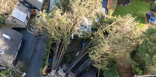 Storm Goretti uproots century-old trees onto Truro family home