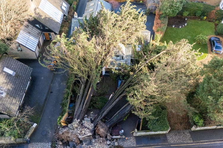 Two large trees have fallen on a house in Truro, breaking through the roof and crushing three cars.Truro, Cornwall.