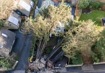 Storm Goretti uproots century-old trees onto Truro family home