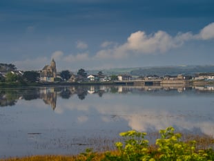 Urgent appeal to help protect Cornwall nature reserve