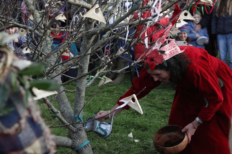 The Wassail tree was decorated in toast
