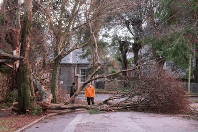 Schools closed in Cornwall to deal with Storm Goretti aftermath