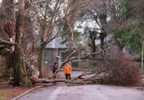 Schools closed in Cornwall to deal with Storm Goretti aftermath