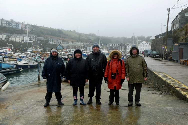 Birdwatchers braved the wind and rain for the fieldtrip at Mevagissey.
